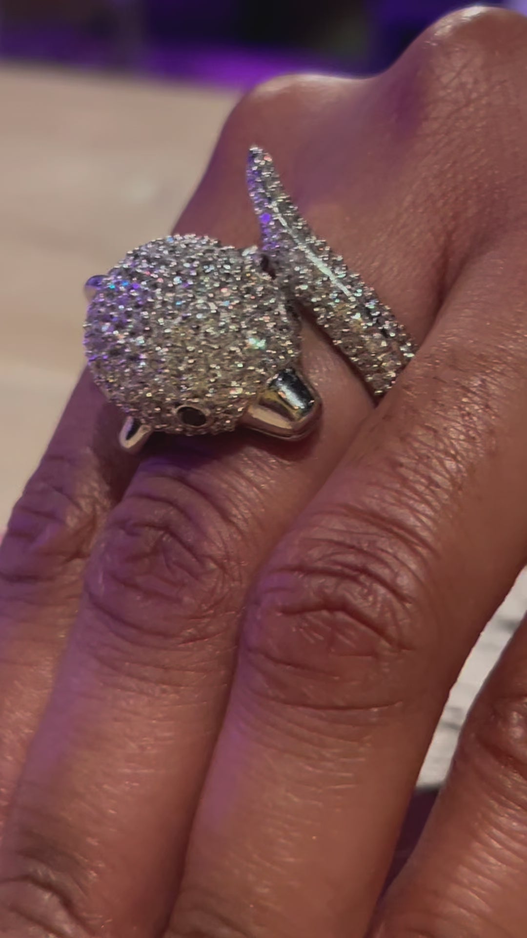 Luxury Dolphin Rings